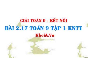 Bài 2.17 SGK Toán 9 tập 1 Kết nối tri thức